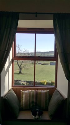 Window seat in twin bedroom